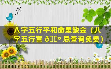 八字五行平和命里缺金（八字五行喜 🌺 忌查询免费）